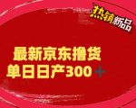 外面最高收费到3980的京东撸货项目，号称日产300+的项目（详细玩法视频教程