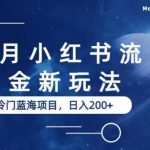 7月小红书流量掘金最新玩法，冷门蓝海小项目，日入200+【揭秘】